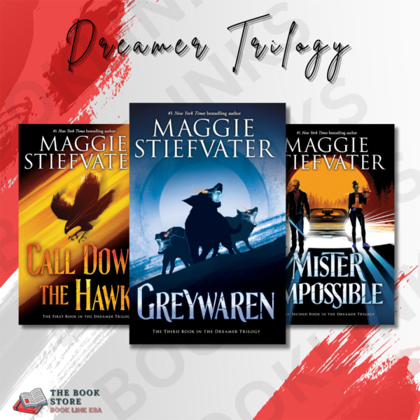Dreamer Trilogy by Maggie Stiefvater